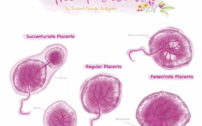 What Is A Placenta And How Is It Supposed To Come Out?