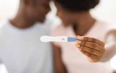 The First Trimester