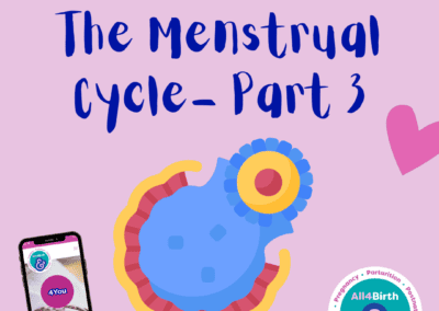Freeflow – The Menstrual Cycle Part 3: The Ovulatory Phase