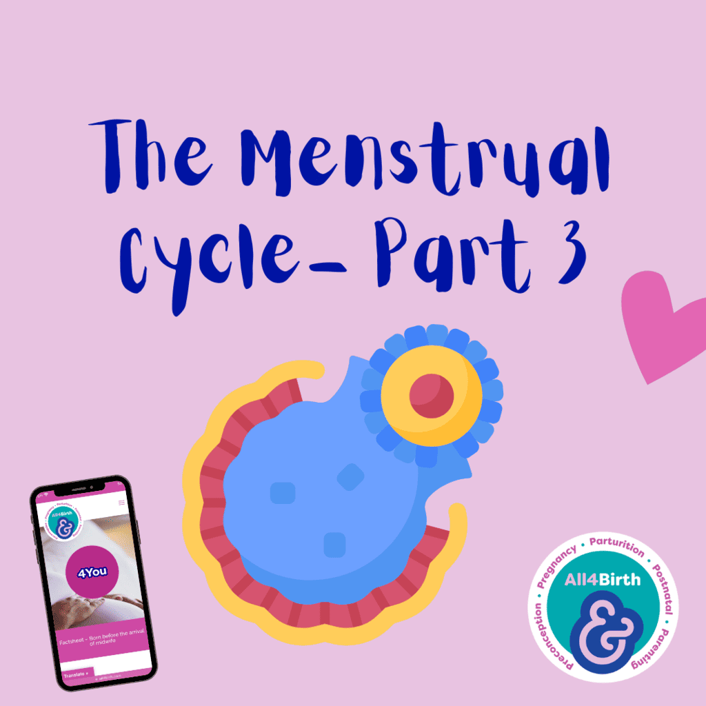 Freeflow – The Menstrual Cycle Part 3: The Ovulatory Phase