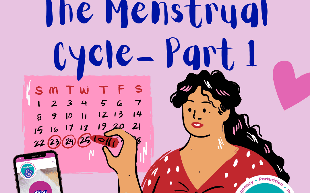 Freeflow- The Menstrual Cycle Part 1: The Menstrual Phase