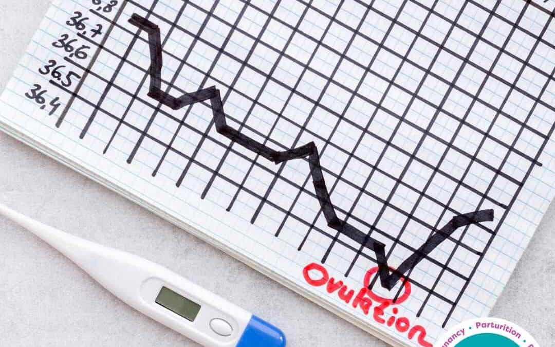 Charting the Path to Parenthood: Understanding the Basics of Fertility Charting and Temperature Tracking