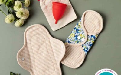 Freeflow- The Menstrual Cycle Part 1: The Menstrual Phase