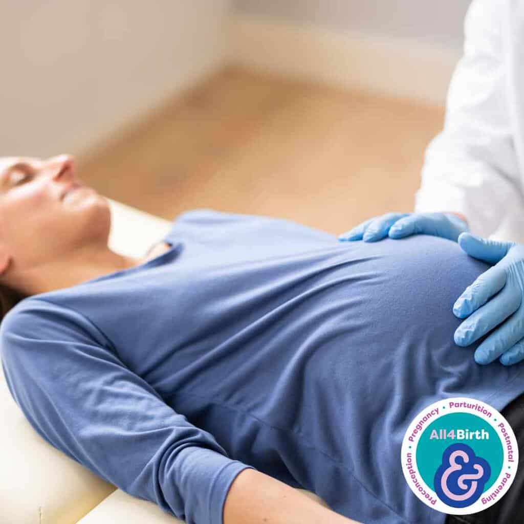 Freeflow Article: Preconception Health from a Medical Perspective