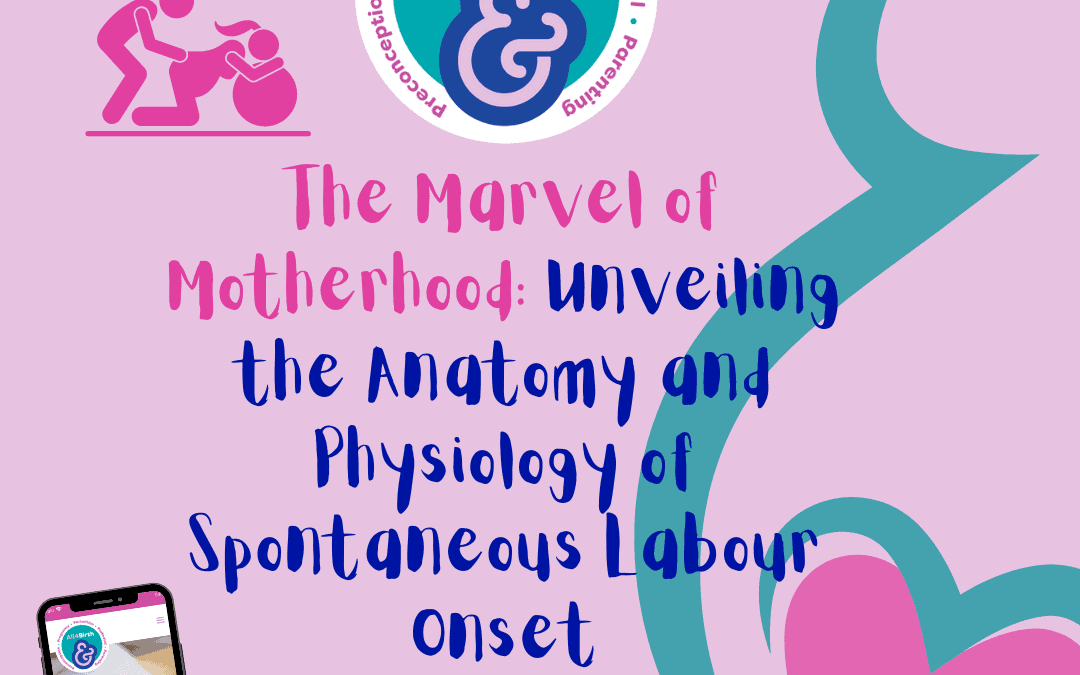 The Marvel of Motherhood: Unveiling the Anatomy and Physiology of Spontaneous Labour Onset