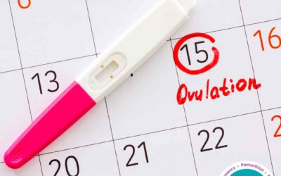 Freeflow – The Menstrual Cycle Part 3: The Ovulatory Phase