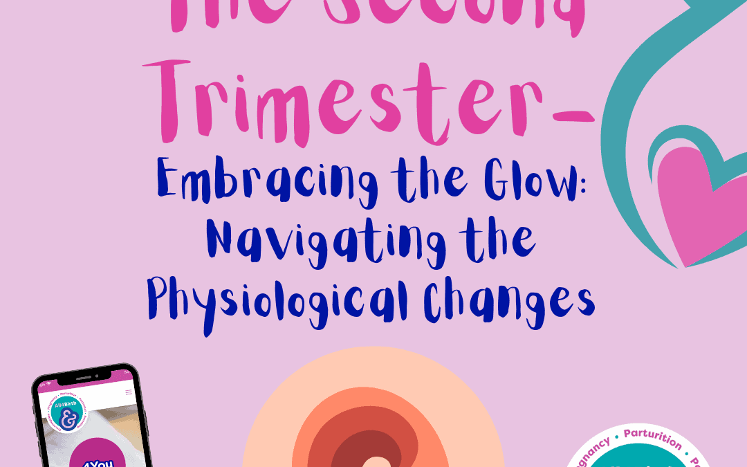 Embracing the Glow: Navigating the Physiological Changes of the Second Trimester