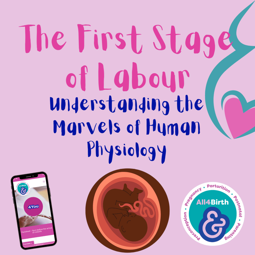 Understanding the Marvels of Human Physiology: The First Stage of Labour