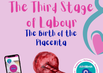 Unveiling the Marvels of the Third Stage of Labor: Understanding Physiology and Anatomy of the Birth of the Placenta and Optimal Cord Clamping