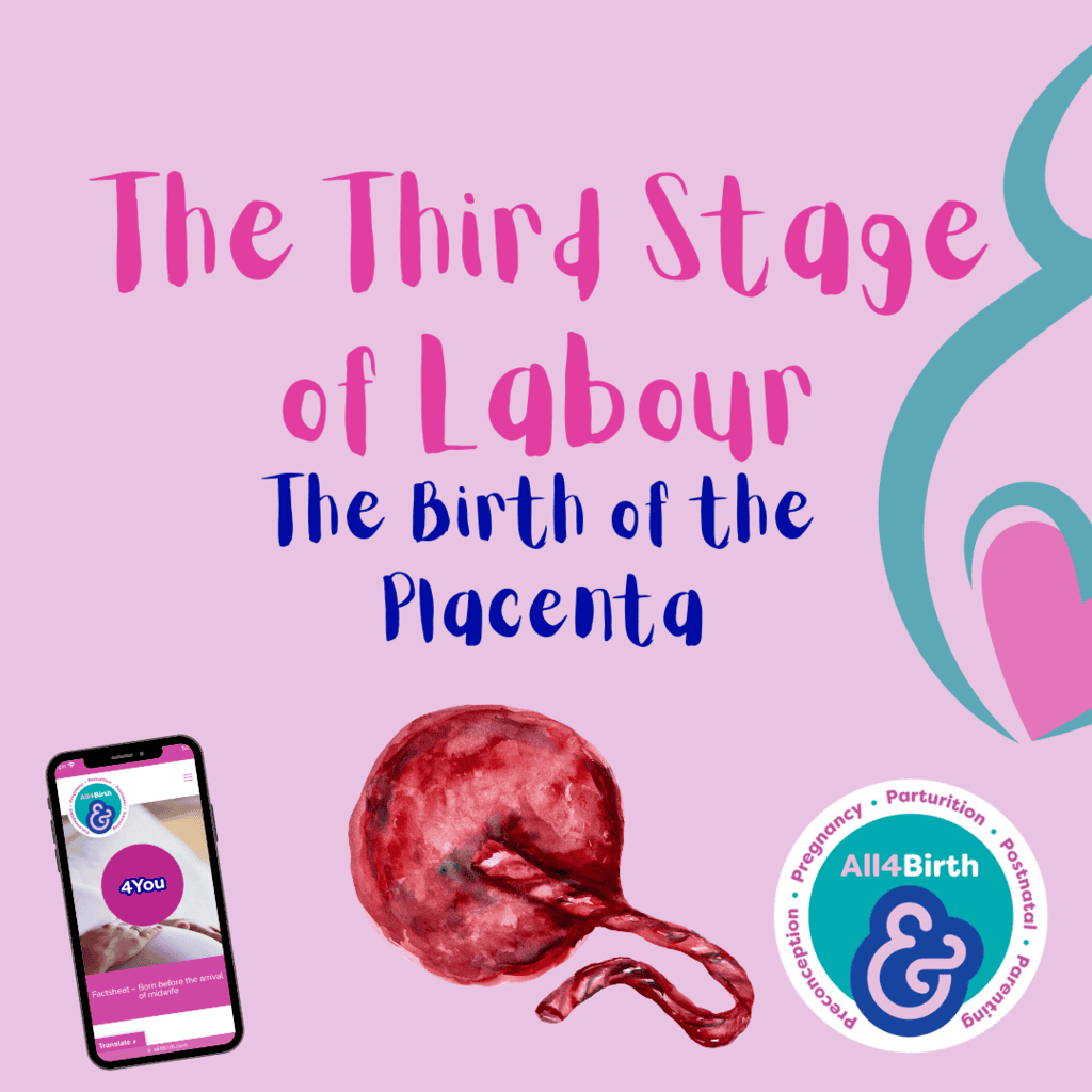 Unveiling the Marvels of the Third Stage of Labor: Understanding Physiology and Anatomy of the Birth of the Placenta and Optimal Cord Clamping