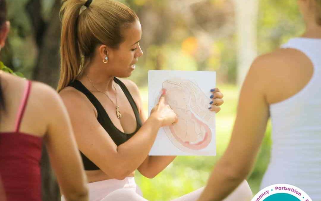 Factsheet- The Power of Antenatal Education: Why Every Expectant Parent Should Consider It