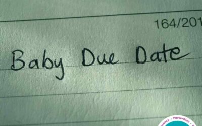 Factsheet- Understanding Estimated ‘Due Dates’: Their History, Comparison with Other Animals, and Why They Aren’t Set in Stone