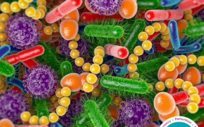 Freeflow- Optimising Your Microbiome in Pregnancy