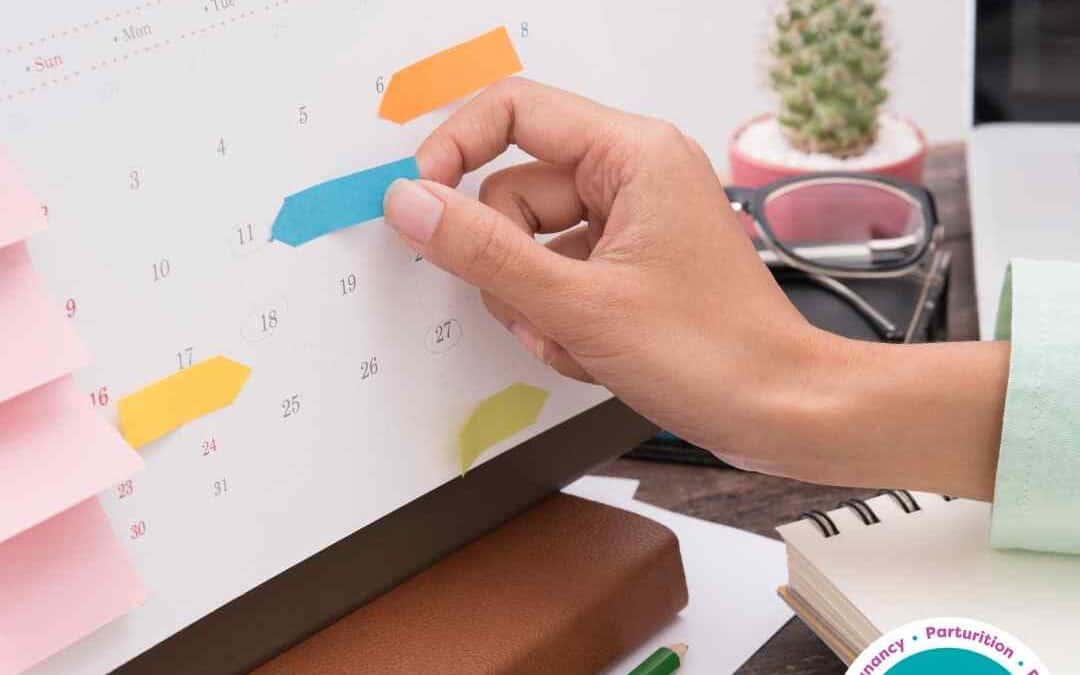 Factsheet- Planning a Pregnancy? A Comprehensive Guide to Timelines and Key Focus Areas
