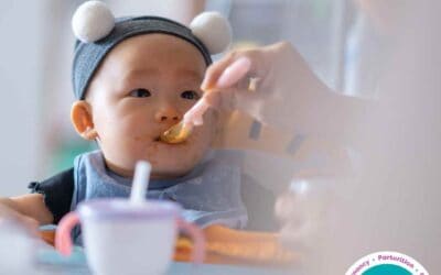 Freeflow- Introducing Solids: A Guide