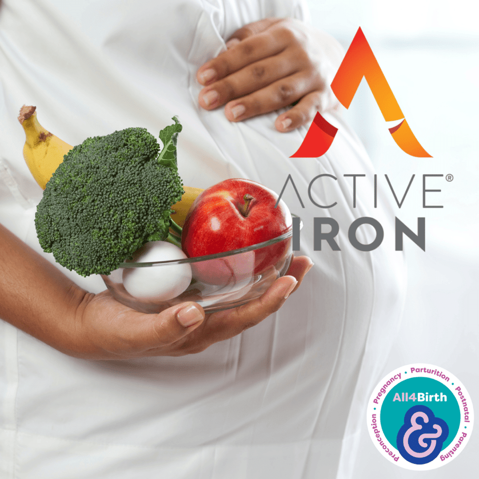 Factsheet: Understanding Nutrition for a Healthy Pregnancy